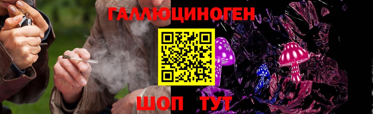 Галлюциногенные грибы мицелий  купить наркотик  Малоярославец  Вход с VPN 